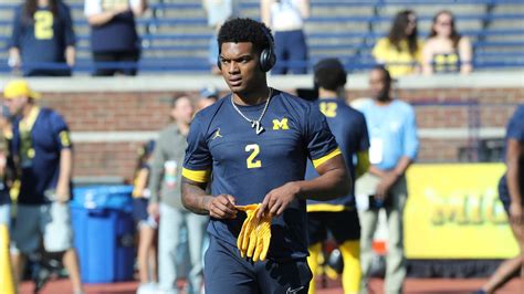 Will Johnson Knee Injury: Causes, Recovery, and Latest Updates