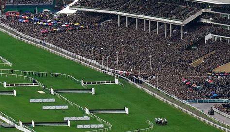 William Hill Cheltenham Non Runner Money Back Novices Limited Handicap Chase Gbb Race Newbury Results Sporting Life William Hill Cheltenham Non Runner Money Back Novices Limited Handicap Chase Gbb Race Newbury Results Sporting Life