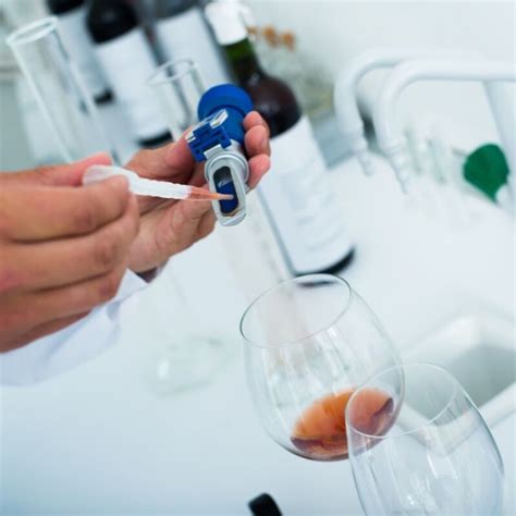 Unlock the Secrets of Wine Lab Innovations for Serious Oenophiles