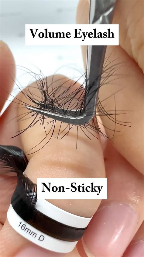 Winky Beauty Lash Extensions Comic Style Lash Set The First Layer Do