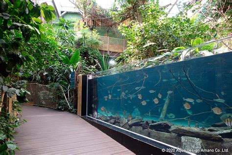 World S Largest Freshwater Aquarium