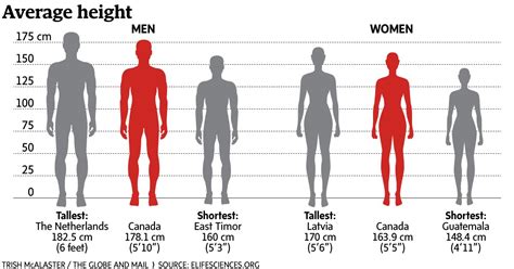 World S Tallest People Are Dutch Men Latvian Women Study Finds From