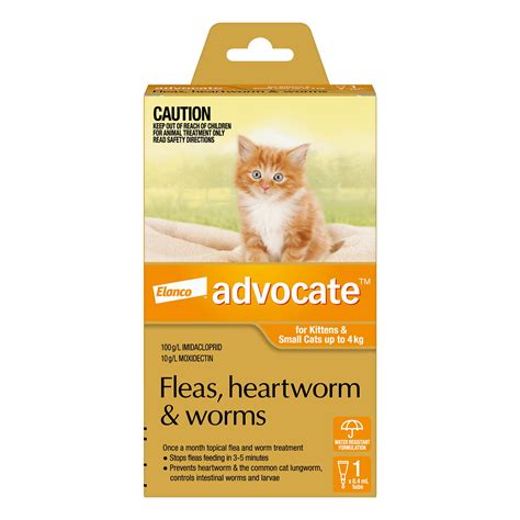 Worm Medication For Cats