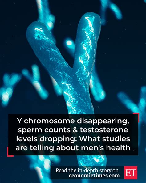 Y Chromosome Disappearing Sperm Counts Testosterone Levels Dropping What Studies Are Telling About Men S Health The Economic Times