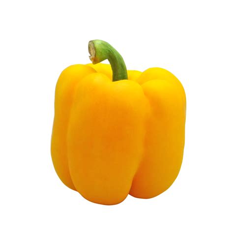 Yellow Bell Pepper 50 Seeds Georgia Seed Garden