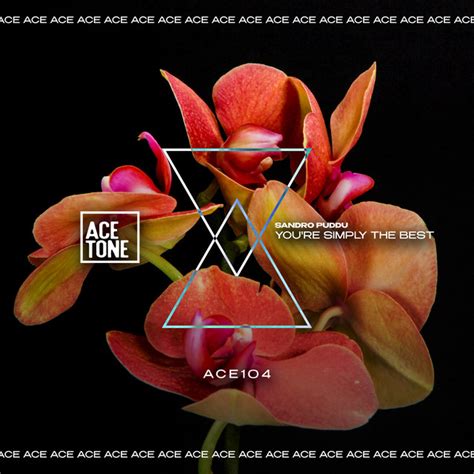 You Re Simply The Best Song And Lyrics By Carl Wave Spotify