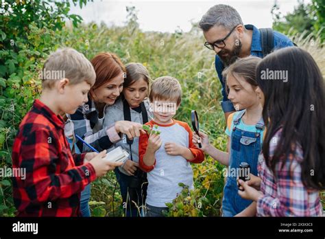Young Students Learning About Nature Forest Ecosystem During Biology