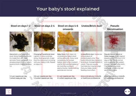 Your Baby S Stool Handout Tina Gibbs Perinatal Education Your Baby S Stool Handout Tina Gibbs Perinatal Education
