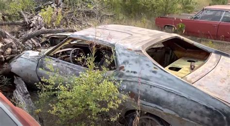 Youtuber Reveals Muscle Car Field Of Sadness With A Plymouth Road Runner Chevy Impala And More Youtuber Reveals Muscle Car Field Of Sadness With A Plymouth Road Runner Chevy Impala And More